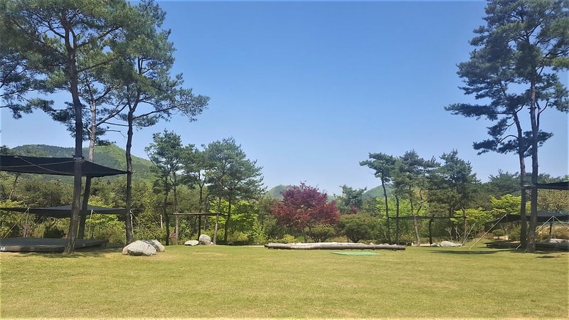 숲속의베리팜 시설 사진 14