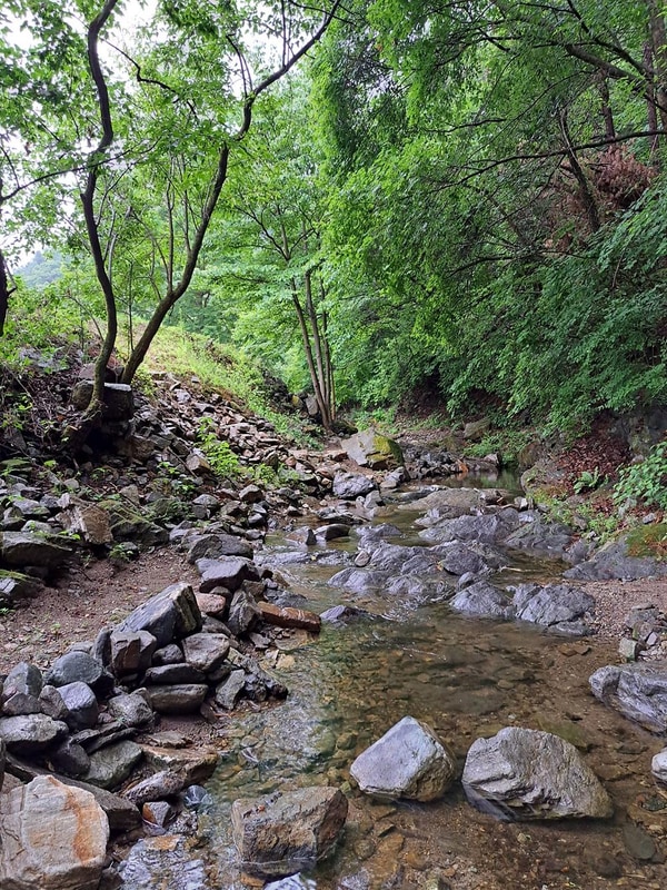 홍천도새울캠핑장 시설 사진 10