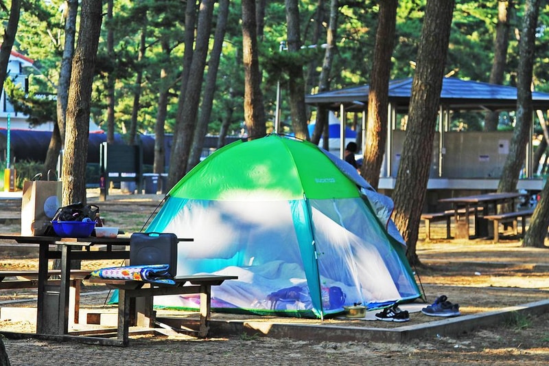 몽산포 자동차 야영장 시설 사진 11