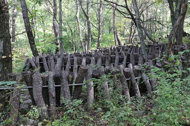 학가산 우래 자연휴양림 시설 사진 1