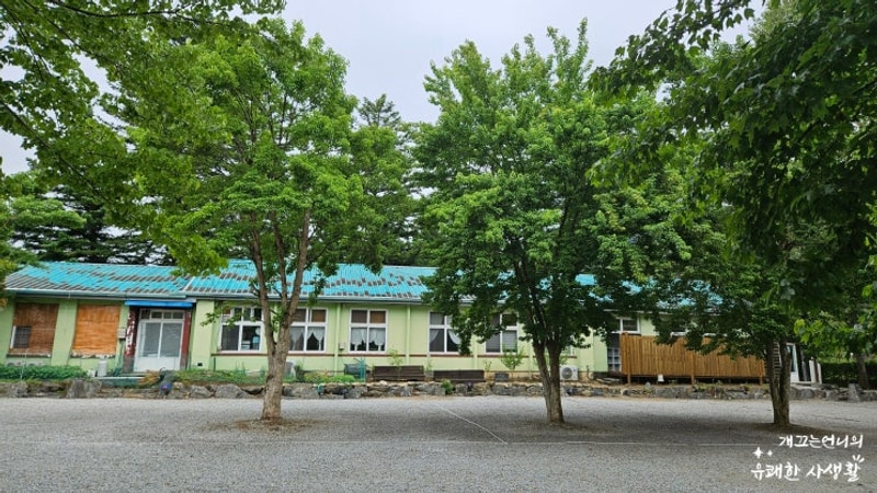 원주 마루노리캠핑장 - 폐교캠핑장