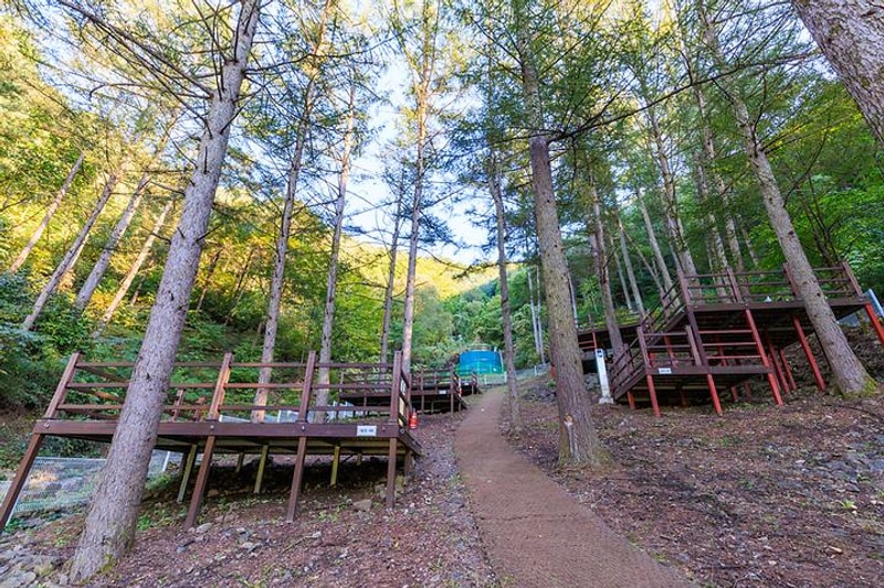 문수산 자연휴양림 야영장 대표 사진