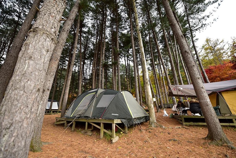 푸른숲캠핑장 시설 사진 1