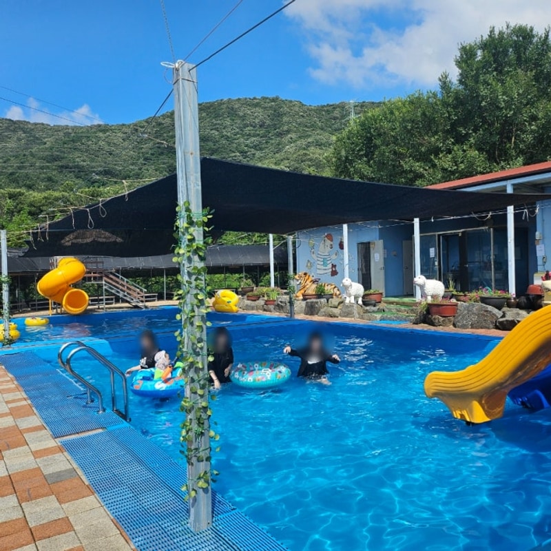 대전 인근 숲속 물놀이장 논산 연산 나그네 캠핑장 수영장 평상...