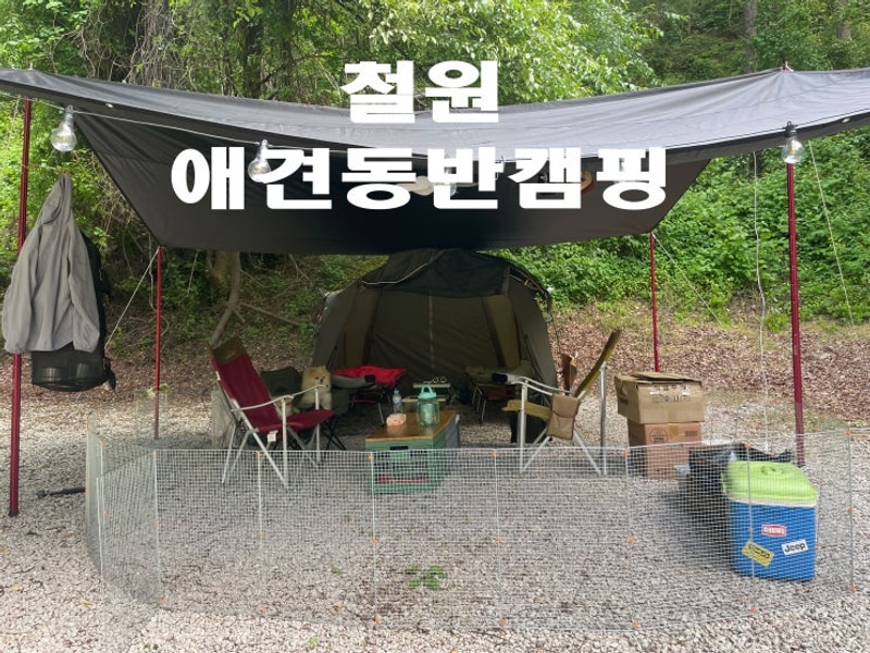철원 매일민박캠핑장 후기, 반려견과 함께한 강원도...