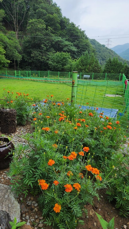 반딧불 캠핑장 시설 사진 5