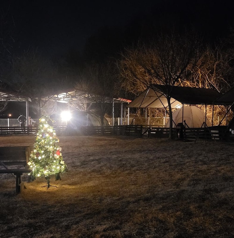 루파니애견캠핑장 시설 사진 27