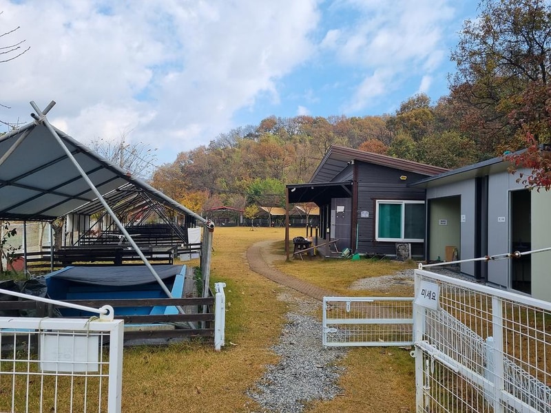 루파니애견캠핑장 시설 사진 21