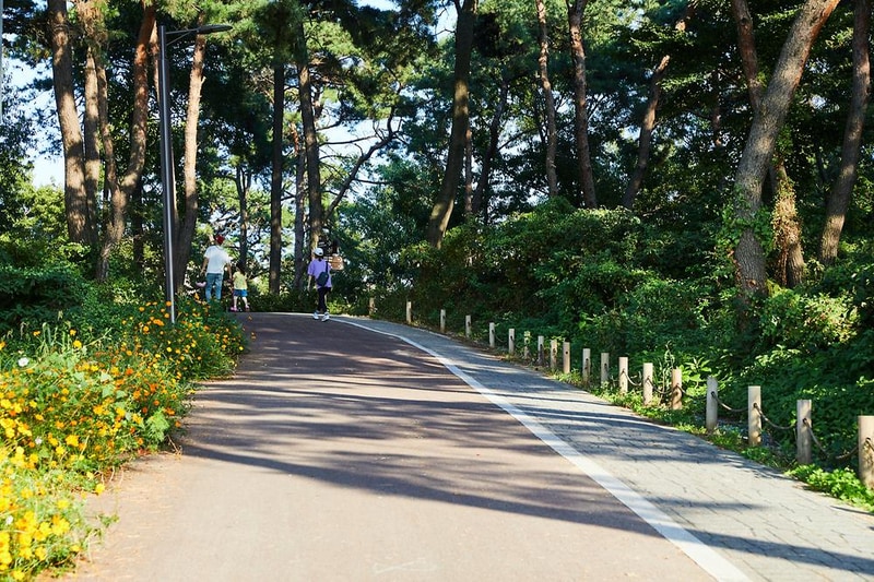 내리 캠핑장 시설 사진 10