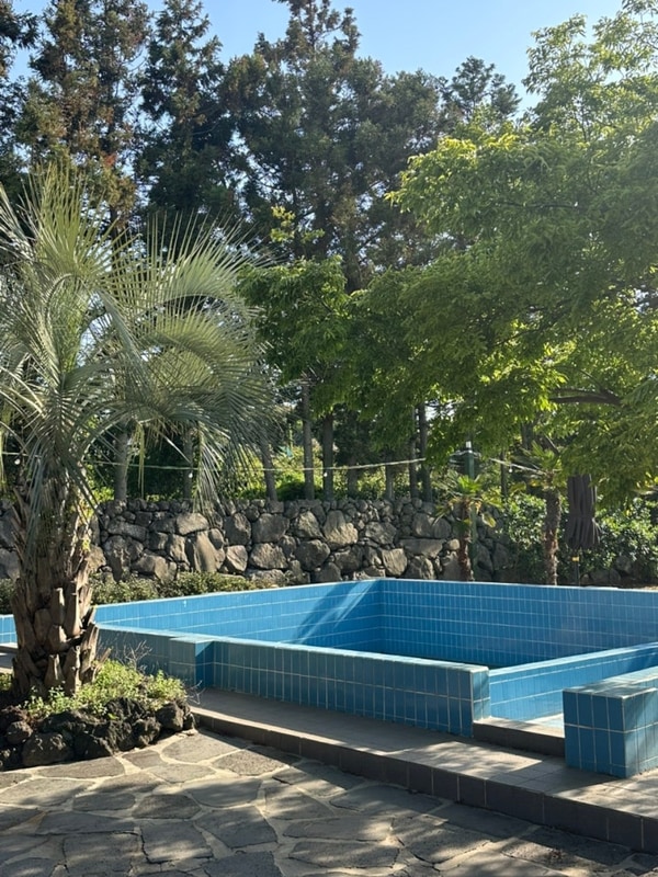 [제주 여행] 제주시 캠핑, 감귤밭 한가운데 귤빛캠핑장 후기