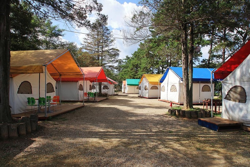 숲들내캠핑장 시설 사진 5