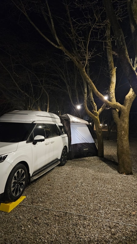 [ 포천 딥포레스트 캠핑장 ] 솔직후기!