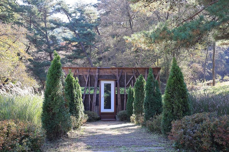 숲속행성 시설 사진 9