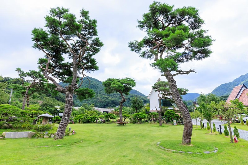 동학사힐링캠핑장 시설 사진 2