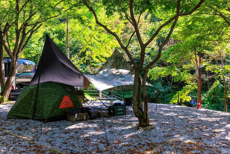 옥당걸숲속관광농원 시설 사진 11