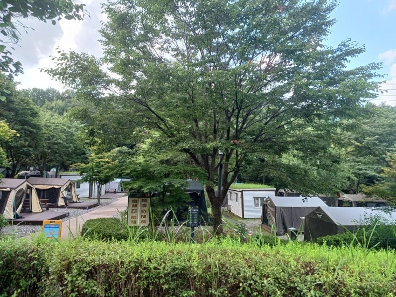 강동 그린웨이 가족캠핑장 체험 후기-주차/예약/요금/이용방법...