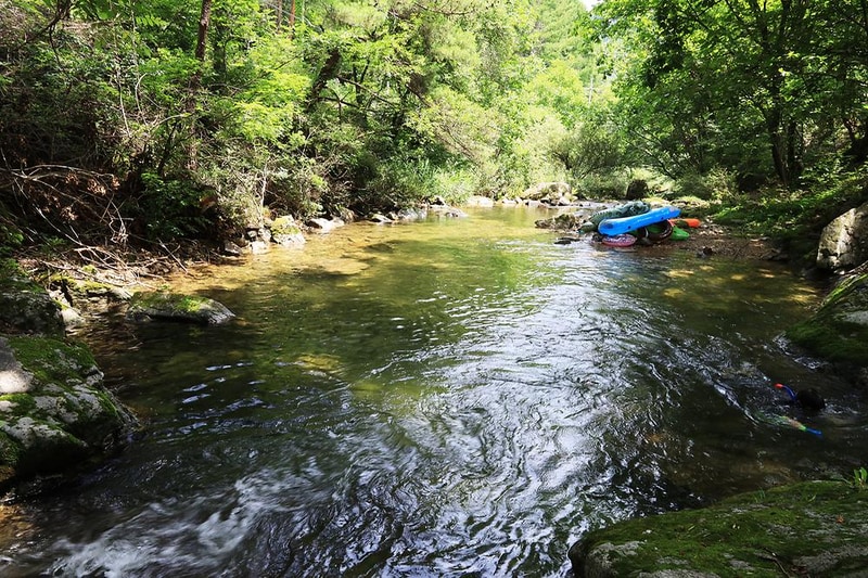 반딧불이 시설 사진 4