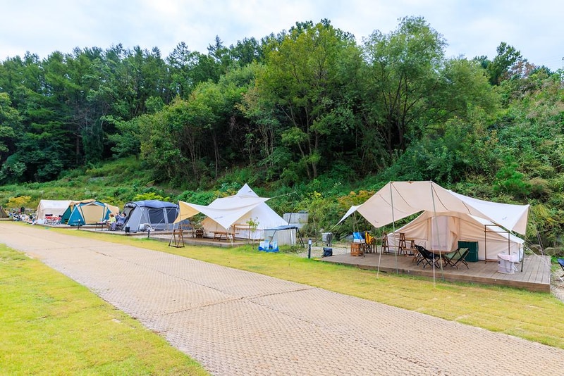 캠핑에 바나나 시설 사진 17