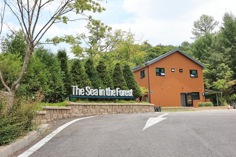 숲에서 만난 바다 글램핑 시설 사진 3