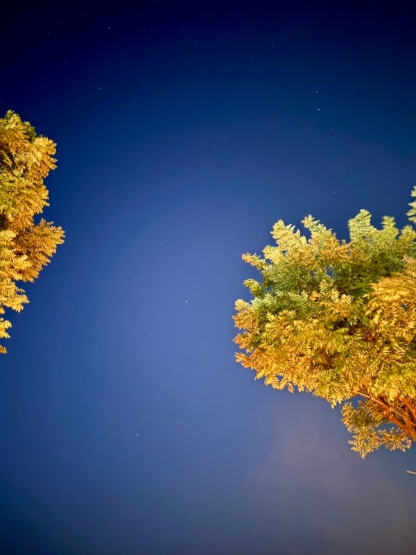 [충주 캠핑⛺️] 재오개캠핑장 다시 다녀오다/혼캠/내돈내산/캠핑