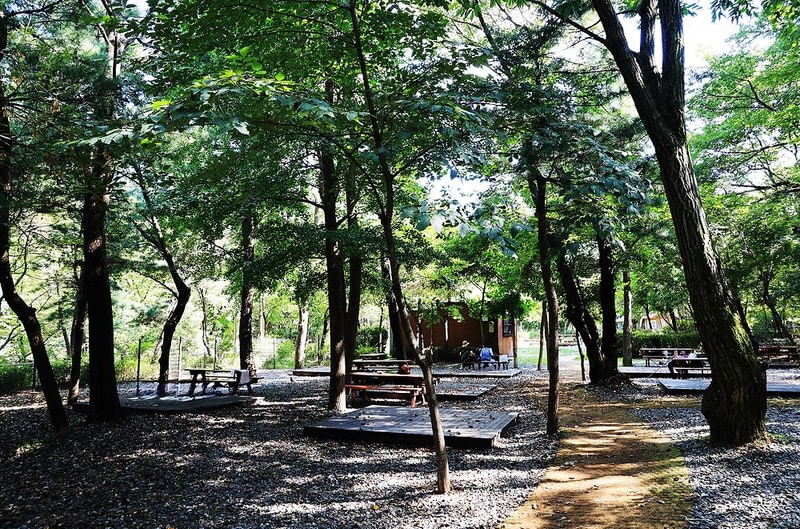 관악산 계곡 캠핑장 시설 사진 23