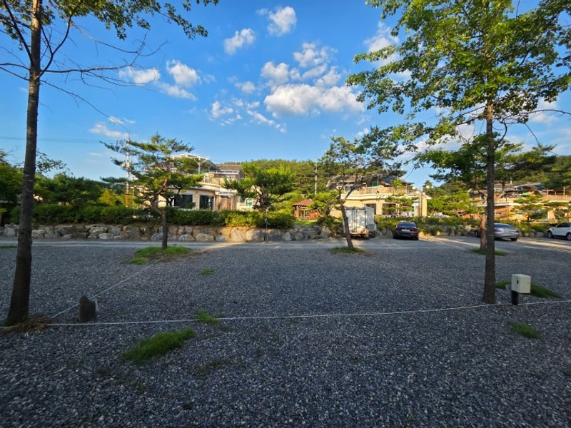 강원도 영월 위드힐링 캠핑장: 자연 속 완벽한 힐링!