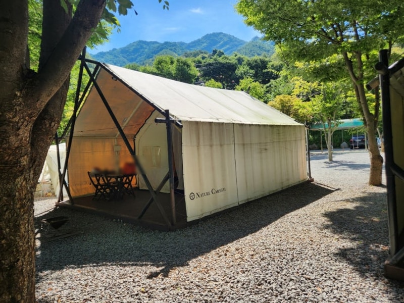 영월 계곡캠핑장 추천 히어리캠핑장 글램핑 후기