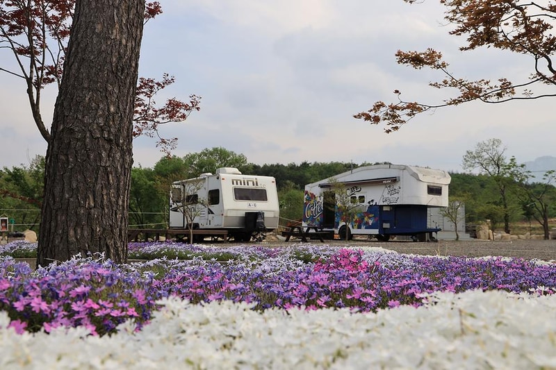 말보로맨 오토캠핑장 시설 사진 7