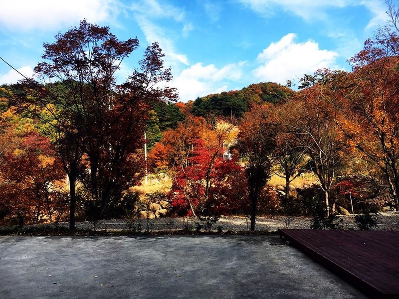 진틀펜션캠핑장 시설 사진 31