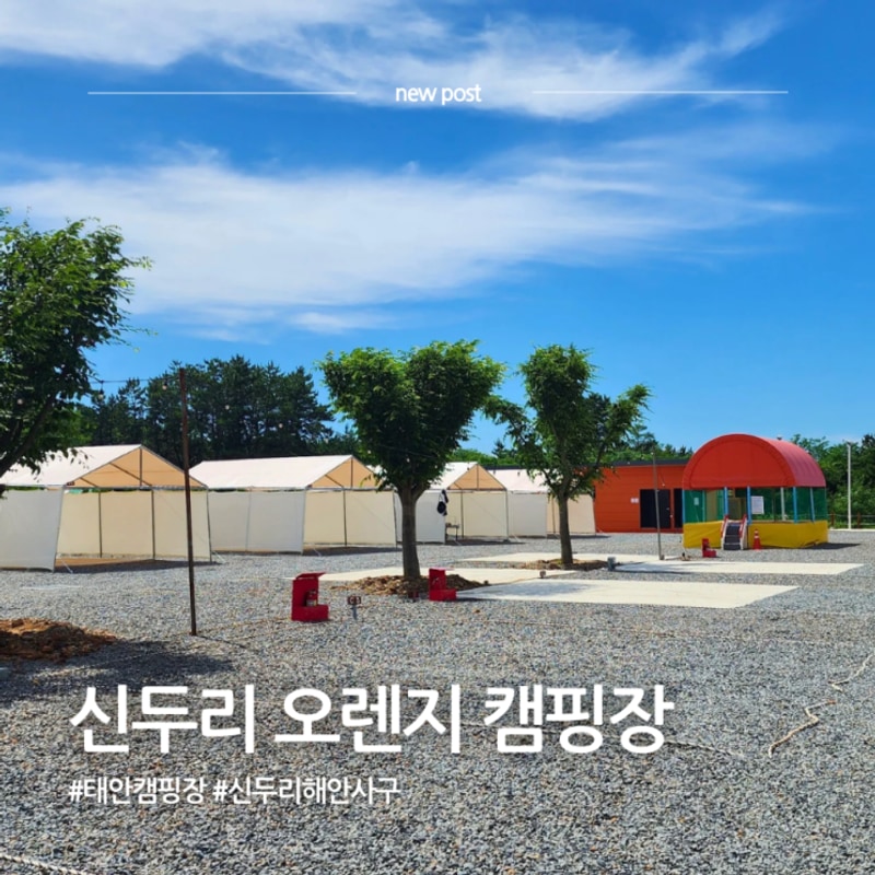 태안캠핑장 신두리오렌지캠핑장 D4 타프존 첫캠핑 (피자체험...