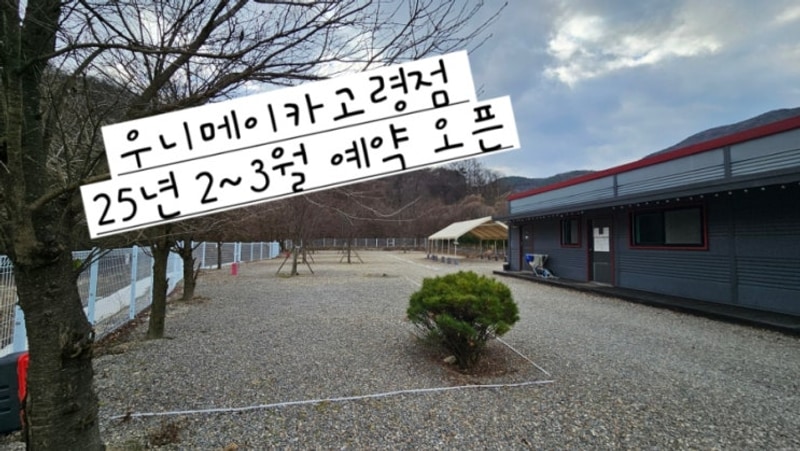우니메이카 고령점 캠핑장 11월 예약 오픈 안내