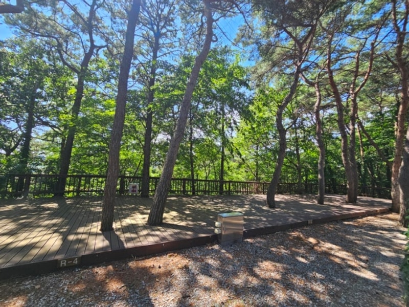 아이와 함께하기 좋은 수영장 캠핑장 추천 홍성 용봉산 캠핑장