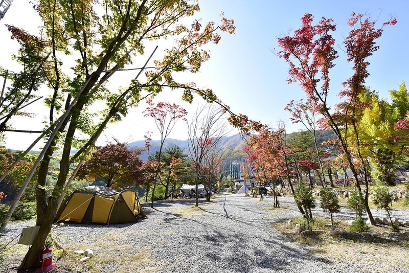힐링가평오토캠핑장 시설 사진 1