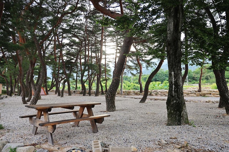 울산 힐링캠프 시설 사진 13