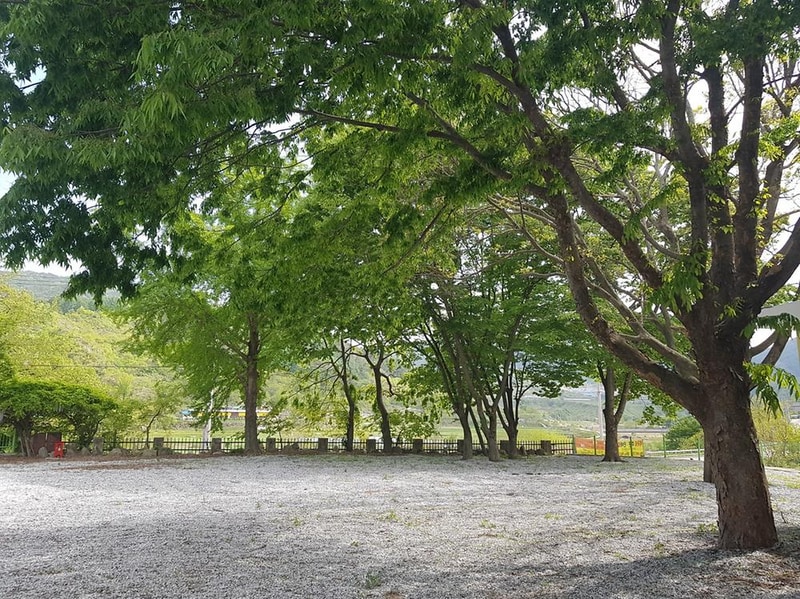 양지마을야영장 시설 사진 10