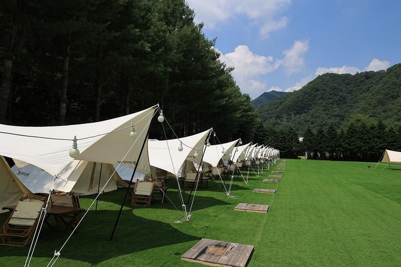 ㈜어메이징캠프 시설 사진 8