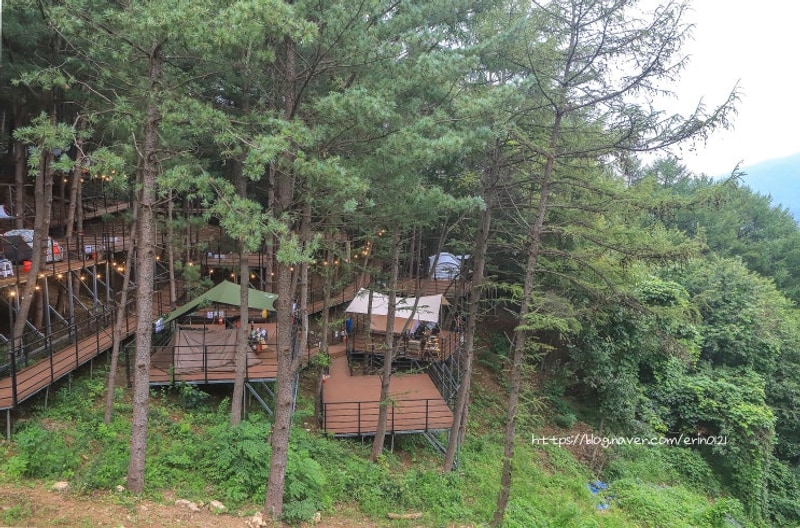 가평 블루문캠핑장 수영장 숲속데크 명당 후기