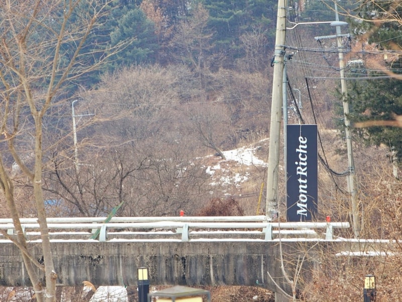 가평 몽리치캠핑장(반려견동반가능)
