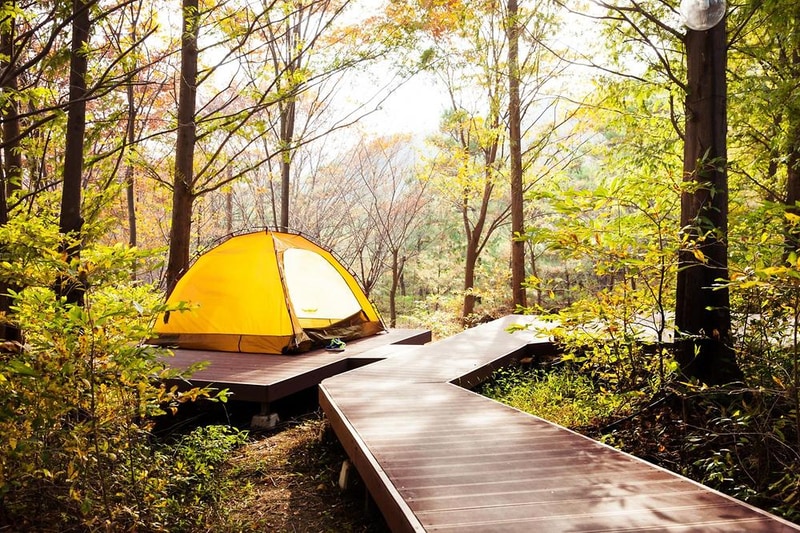 노꼬담꼬 시설 사진 32