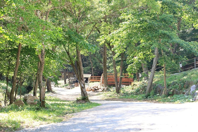비발디캠핑파크 미루나무점 시설 사진 23