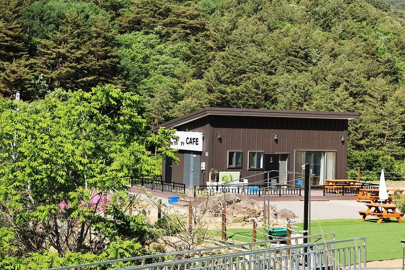 원대리751 글램핑 시설 사진 11