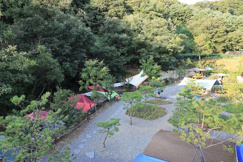 초리 포레스트 시설 사진 11