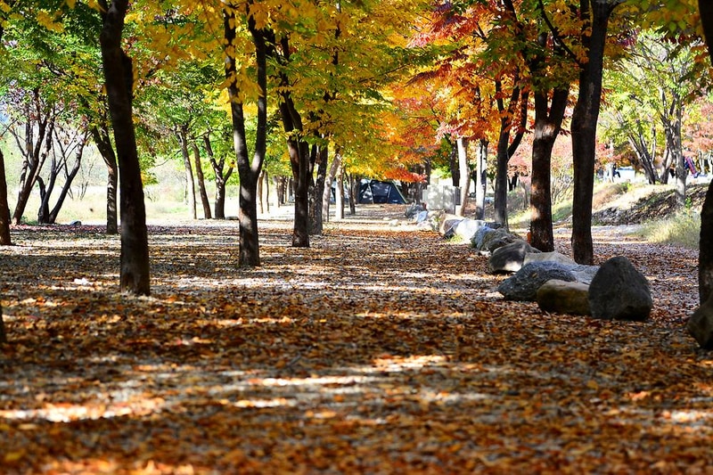 은빛물결캠핑장 시설 사진 7