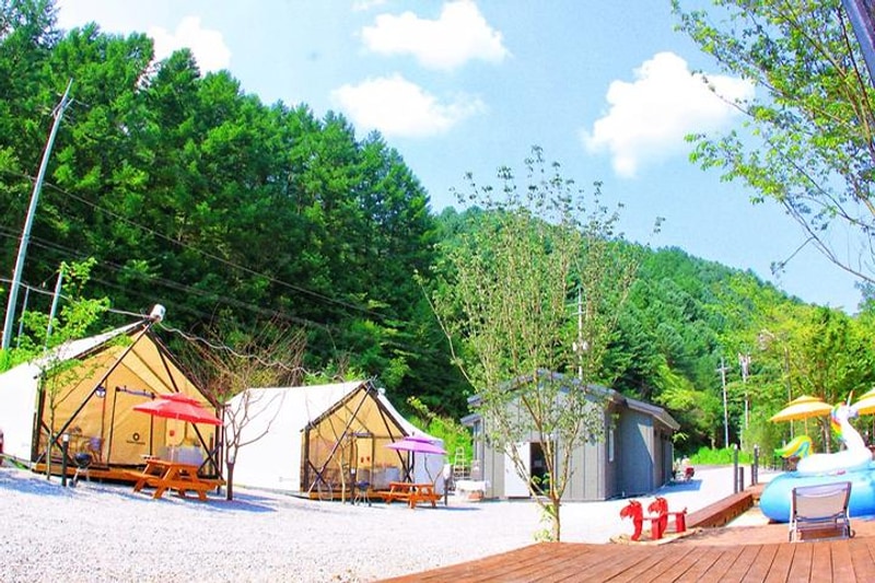 자연에 머물다 대표 사진