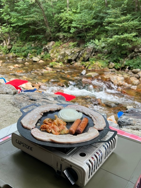 <평창> 애견 입수 가능 계곡... 물놀이 명당 포인트 공유 / 캠핑494