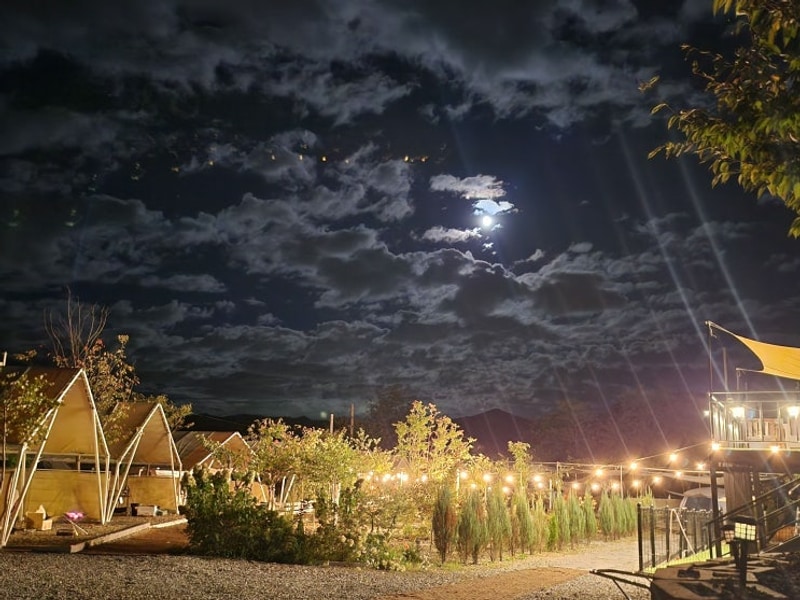 [느즈막히 올리는 가을캠핑] 가평 나아정 캠핑장 _애견동반가능...