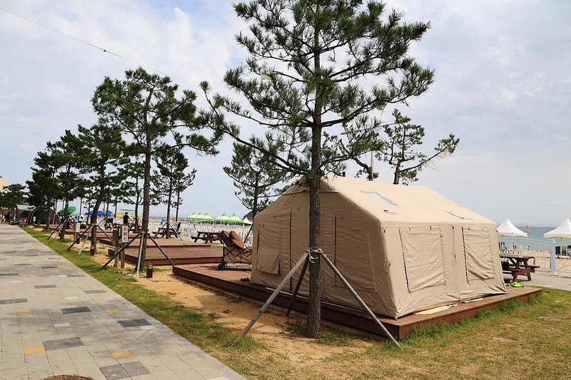 오호(OHO!) 캠핑장 시설 사진 23