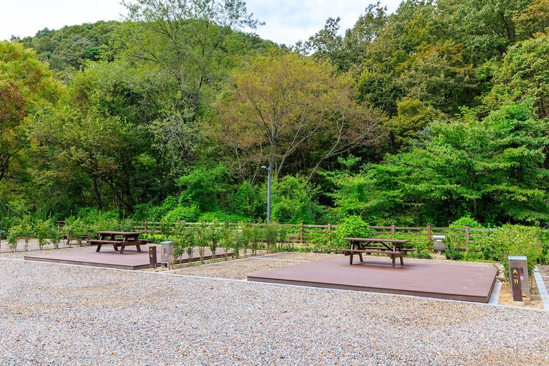 성수산 왕의숲 국민여가캠핑장 시설 사진 3