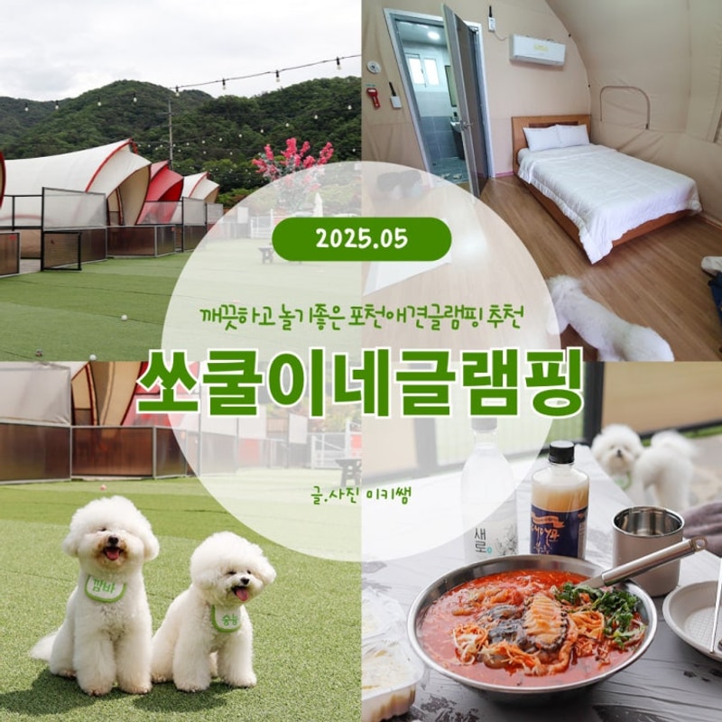 쏘쿨이네글램핑, 깨끗하고 놀기 좋은 포천애견글램핑 추천