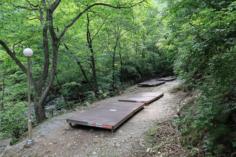 강원도산림개발연구원 집다리골자연휴양림 시설 사진 6